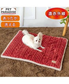PET PARADISE ペットパラダイス 遠赤外線 アランボア マット