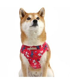 PET PARADISE リサとガスパール ベストハーネス 《パリ柄》 ＳＭ 中型犬