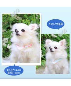 PET PARADISE ペットパラダイス 28℃クールリング SUO 《くま柄》 〔ＳＳ〕 小型犬