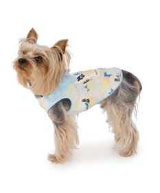 PET PARADISE リサとガスパール エコメイド シトラス タンクトップ 小型犬