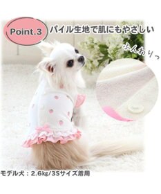 犬 服 夏服 タンクトップ 〔小型犬〕 サーモキープ 苺 いちご イチゴ