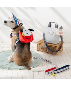 PET PARADISE スヌーピー なかよしリード ＳＭ