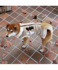 PET PARADISE リサとガスパール 背開き ベスト 《ベージュ》 中型犬