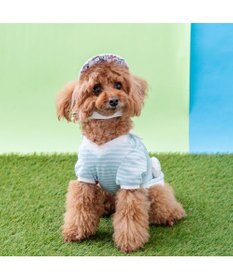 PET PARADISE スヌーピー サンバイザー ４Ｓ～３Ｓ/ＳＳ～Ｓ 小型犬