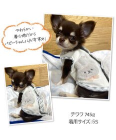PET PARADISE 犬の服 犬 うさぎ 背中開き タンクトップ 【小型犬】 うさちゃん サーモキープ