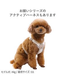 PET PARADISE ペットパラダイス くまちゃん ショルダーリード ３Ｓ～Ｓ 小型犬