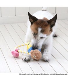 PET PARADISE ミニオン ボブ ティム ロープトイ  小型犬