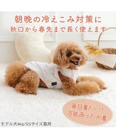 PET PARADISE ペットパラダイス ペティヒート天竺 タンクトップ 《さくらんぼ柄》 超小型犬 小型犬