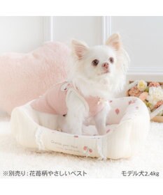 PET PARADISE ペットパラダイス カドラー 《花苺柄》 Ｓ