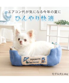 PET PARADISE スヌーピー クール 四角カドラー 《サマーバケーション柄》 Ｓ