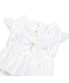 PET PARADISE cherircouture シースルーリボン ワンピース 小型犬