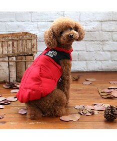 PET PARADISE ペットパラダイス 遠赤外線 エアベスト  《レッド》 小型犬