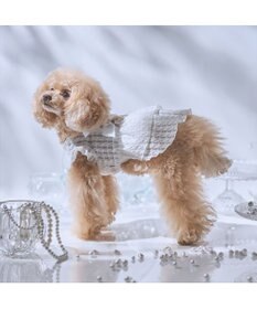 PET PARADISE cherircouture シースルーリボン ワンピース 小型犬