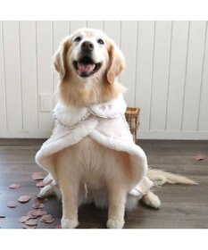 PET PARADISE ペットパラダイス フリルポンチョ 《ホワイト》  中型犬 大型犬
