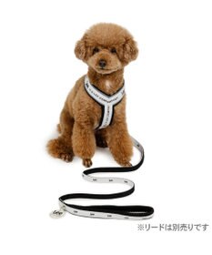 PET PARADISE Lee ロゴ アクティブ ハーネス S 小型犬