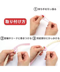 PET PARADISE 犬 散歩 夜 光る 苺柄 ＬＥＤ お散歩ライト