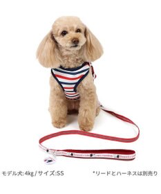 PET PARADISE リサとガスパール 反射リード SS~S 小型犬