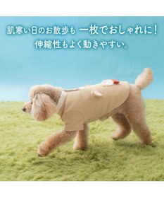 PET PARADISE ペットパラダイス  くまちゃん プレミアム ペティヒート お顔 Tシャツ 小型犬