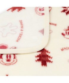 PET PARADISE ディズニー ミッキーマウス ブランケット 《ニット柄》