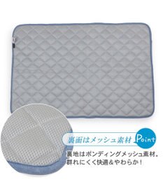 PET PARADISE 接触冷感 柔らか クールマットM《苺 ネイティブ 》 (90×60cm)