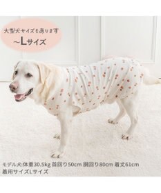 PET PARADISE ペットパラダイス はじめてのタンクトップ 《花苺柄》 中型犬 大型犬