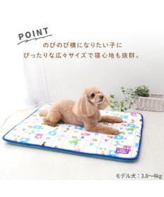 PET PARADISE ディズニー トイストーリー もちっと クールマット 防臭