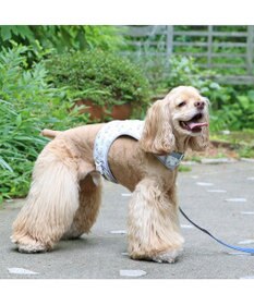 PET PARADISE ディズニー 101匹わんちゃん 保冷剤ポケット付き ハーネス ＳＭ 中型犬