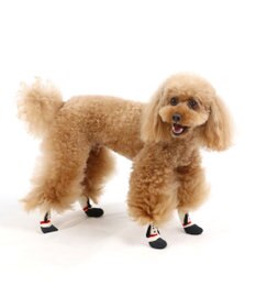 PET PARADISE スヌーピー フィットシューズ 靴下【３Ｓ】