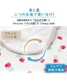 PET PARADISE ペットパラダイス クールブランケット 単品 (90×60cm)  《 苺柄 / ネイティブ柄 》