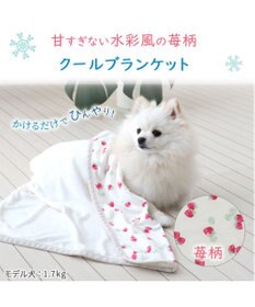 PET PARADISE ペットパラダイス クールブランケット 単品 (90×60cm)  《 苺柄 / ネイティブ柄 》