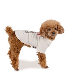 PET PARADISE ペットパラダイス Mai Kuraki　LOVE  ペットTシャツ 《ホワイト》 小型犬