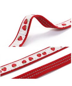 PET PARADISE ペットパラダイス 苺チャーム付き リード Ｓ