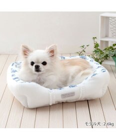 PET PARADISE ペットパラダイス クールカドラー 《トワルドジュイ柄》 四角型 Ｓ