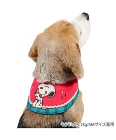 PET PARADISE スヌーピー クールバンダナ 《スイカ柄》 中型犬 大型犬
