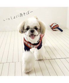 PET PARADISE スヌーピー タブ付 バスケットボール  トイ