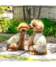 PET PARADISE ペットパラダイス タッチワンクールプラス キャミソール 《あひる》 小型犬