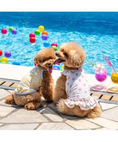 PET PARADISE ペットパラダイス タッチワンクールプラス キャミソール 《あひる》 小型犬