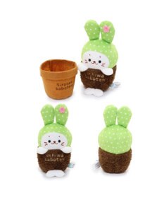 Mother garden しろたん サボテン マスコット 《うちわサボテン》