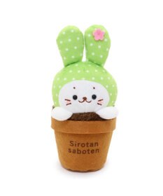 Mother garden しろたん サボテン マスコット 《うちわサボテン》