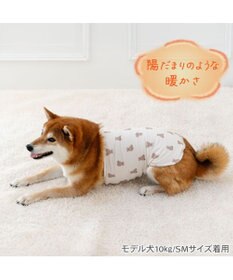 PET PARADISE ペットパラダイス くまちゃん ペティヒート 天竺 腹巻 小型犬