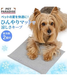 PET PARADISE ペットパラダイス  コンパクトクーラー グレー 2026