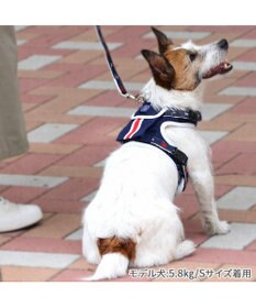PET PARADISE J.PRESS ポケット付きハーネス ３Ｓ 小型犬
