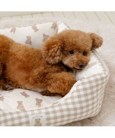 PET PARADISE ペットパラダイス くまちゃん カドラー  M《57×45cm》