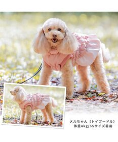 PET PARADISE ペットパラダイス アウター ハーネス ベスト 《フリル》 小型犬