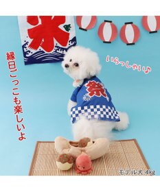 PET PARADISE ペットパラダイス たこやき ボールトイ