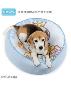 PET PARADISE スヌーピー  プレゼント クッション 接触冷感