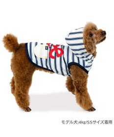 PET PARADISE Lee タッチワンクール プラス ネオタンクトップ 小型犬