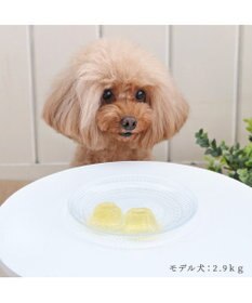 PET PARADISE りんごゼリー 8個入り