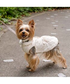 PET PARADISE ペットパラダイス 花柄キルト エアベスト  超小型犬 小型犬