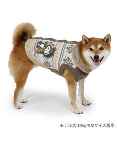 PET PARADISE スヌーピー スケート ニット 《 ホワイト》 中型犬 大型犬